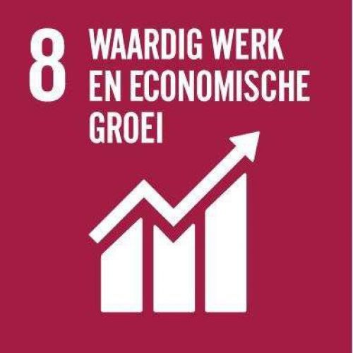 SDG 8